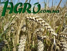 1agro.com.ua