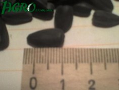 1agro.com.ua