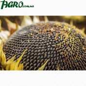 1agro.com.ua