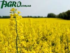 1agro.com.ua