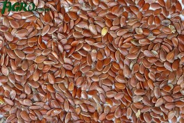 1agro.com.ua