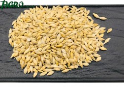 1agro.com.ua