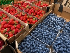 1agro.com.ua