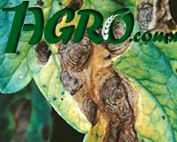 1agro.com.ua