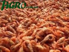 1agro.com.ua