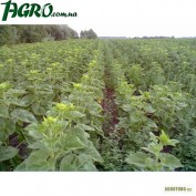 1agro.com.ua