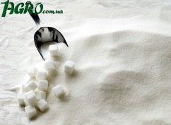 1agro.com.ua
