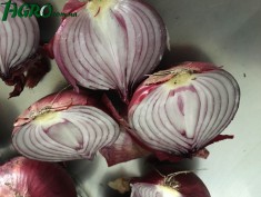 1agro.com.ua