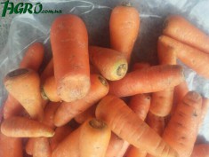 1agro.com.ua
