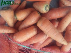 1agro.com.ua