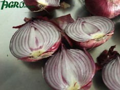 1agro.com.ua