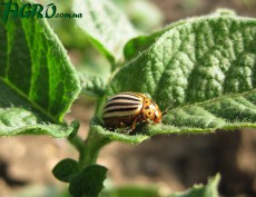 1agro.com.ua