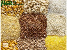 1agro.com.ua