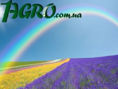 1agro.com.ua