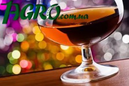 1agro.com.ua