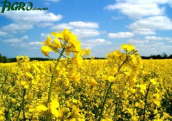 1agro.com.ua