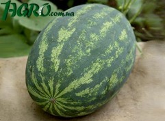 1agro.com.ua