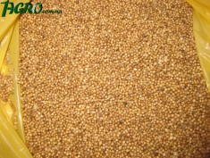1agro.com.ua
