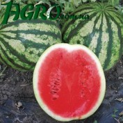 1agro.com.ua