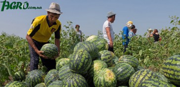 1agro.com.ua