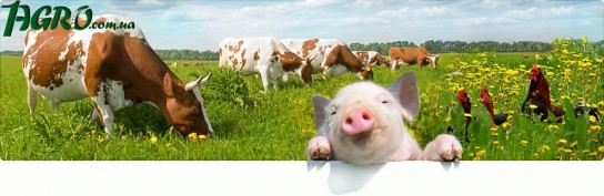 1agro.com.ua