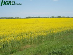 1agro.com.ua