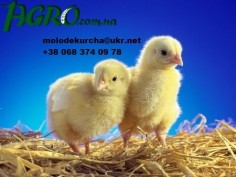 1agro.com.ua