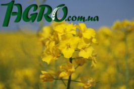 1agro.com.ua
