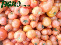 1agro.com.ua