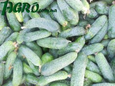 1agro.com.ua