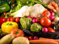 1agro.com.ua