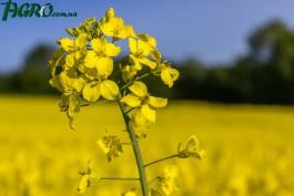 1agro.com.ua