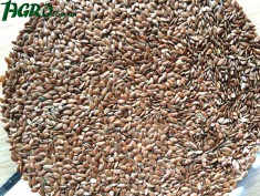 1agro.com.ua