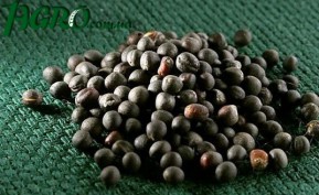 1agro.com.ua