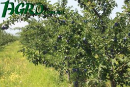 1agro.com.ua