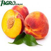1agro.com.ua