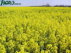 1agro.com.ua