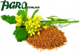 1agro.com.ua