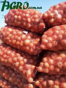 1agro.com.ua