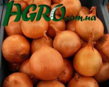 1agro.com.ua