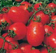1agro.com.ua
