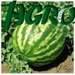 1agro.com.ua