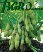 1agro.com.ua