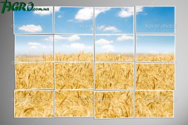 1agro.com.ua