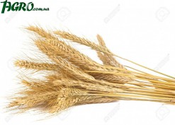 1agro.com.ua
