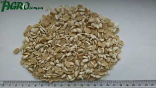 1agro.com.ua