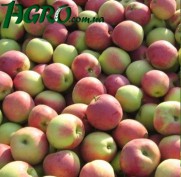 1agro.com.ua