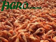 1agro.com.ua