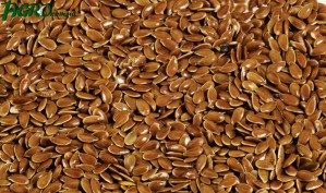 1agro.com.ua