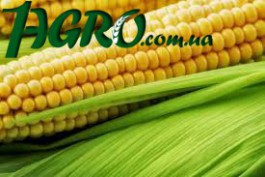 1agro.com.ua